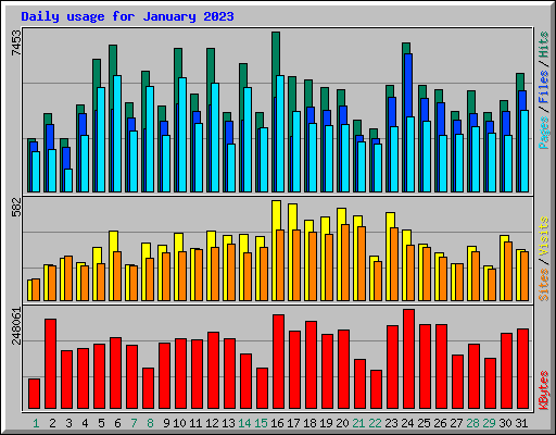 Daily usage for January 2023