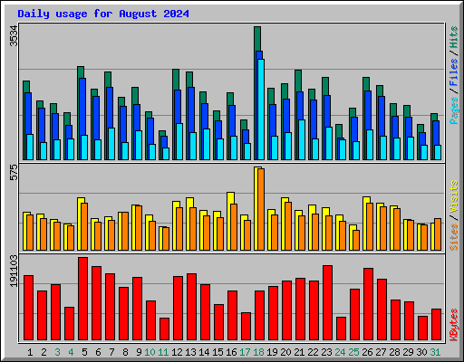 Daily usage for August 2024
