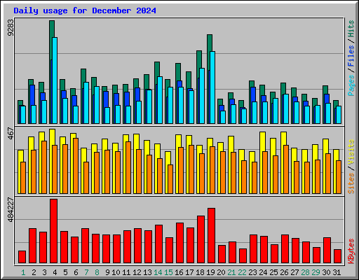 Daily usage for December 2024