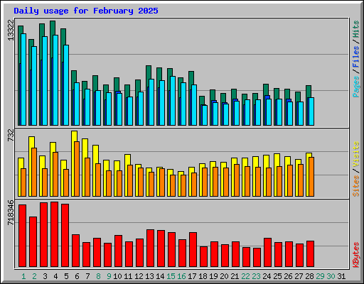 Daily usage for February 2025