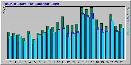 Hourly usage for December 2020