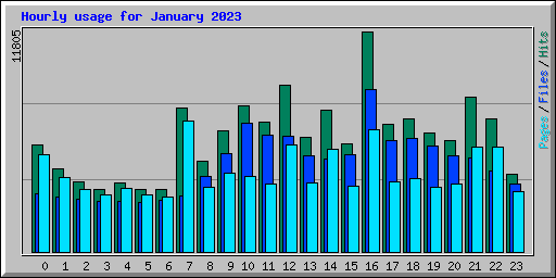 Hourly usage for January 2023