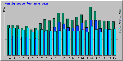 Hourly usage for June 2023