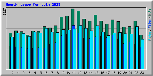 Hourly usage for July 2023