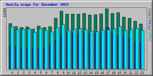 Hourly usage for December 2023