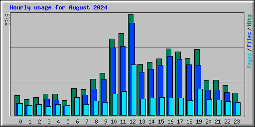 Hourly usage for August 2024