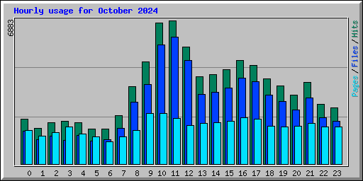 Hourly usage for October 2024