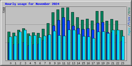 Hourly usage for November 2024