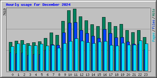 Hourly usage for December 2024