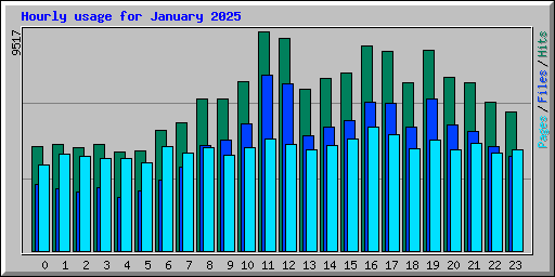 Hourly usage for January 2025