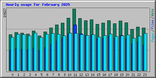 Hourly usage for February 2025
