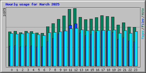 Hourly usage for March 2025