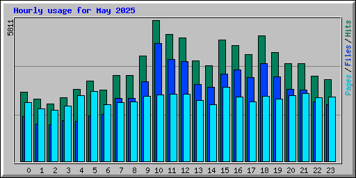 Hourly usage for May 2025
