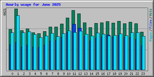 Hourly usage for June 2025